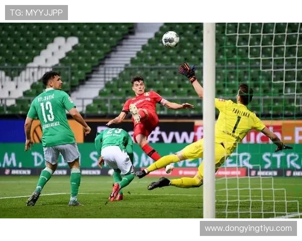 网易体育手机版APP为体育迷提供专业的赛事分析和实时数据统计服务